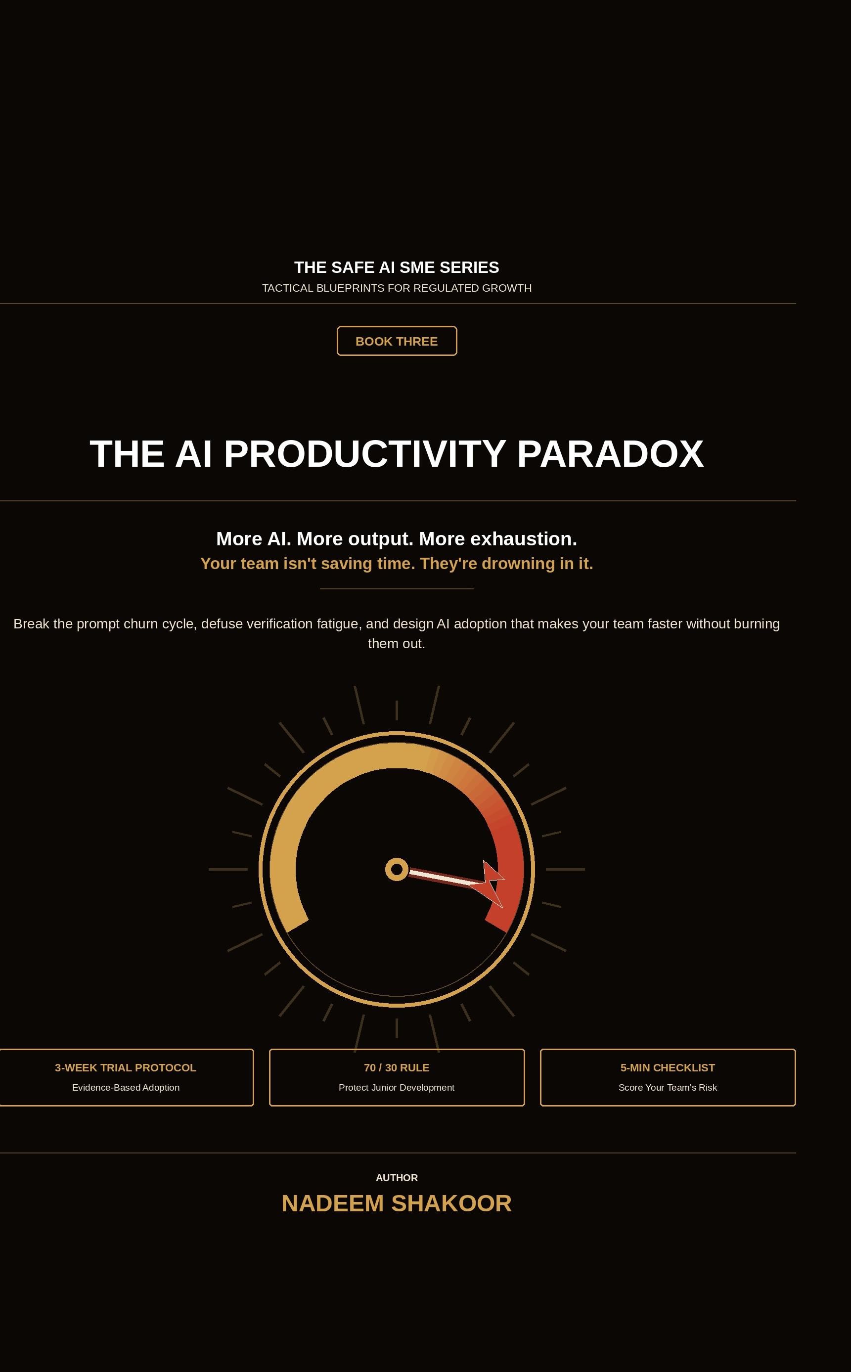 The AI Productivity Paradox cover
